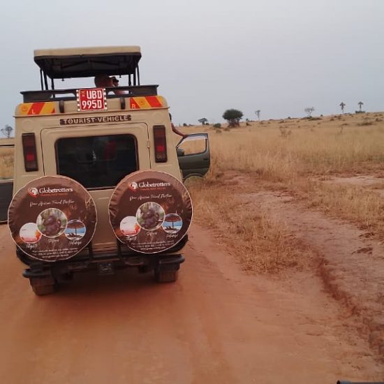 Luxury Safari Vehicles in Uganda: Travel Redefined | Simba Travelcare