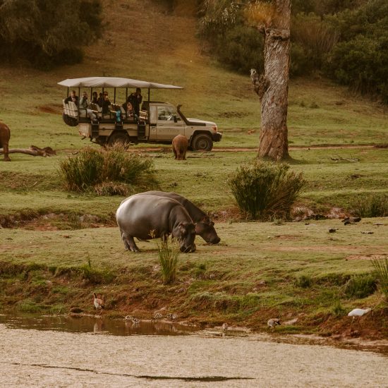 Uganda Safari Itinerary: Days Needed & Best Routes