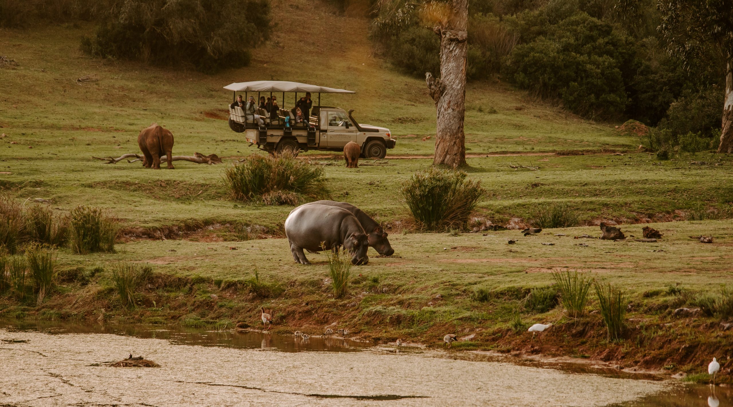 Uganda Safari Itinerary: Days Needed & Best Routes