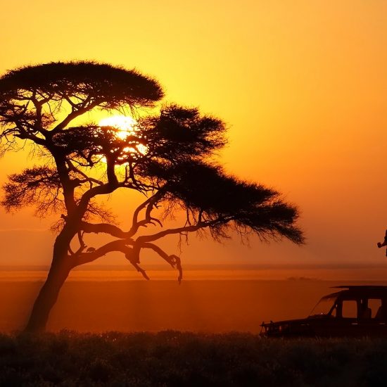 African Safari for Seniors: A Complete Travel Guide
