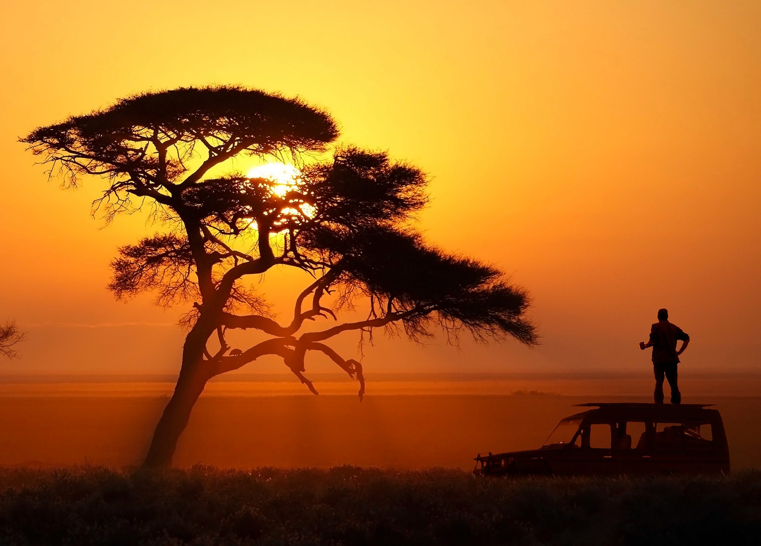 African Safari for Seniors: A Complete Travel Guide