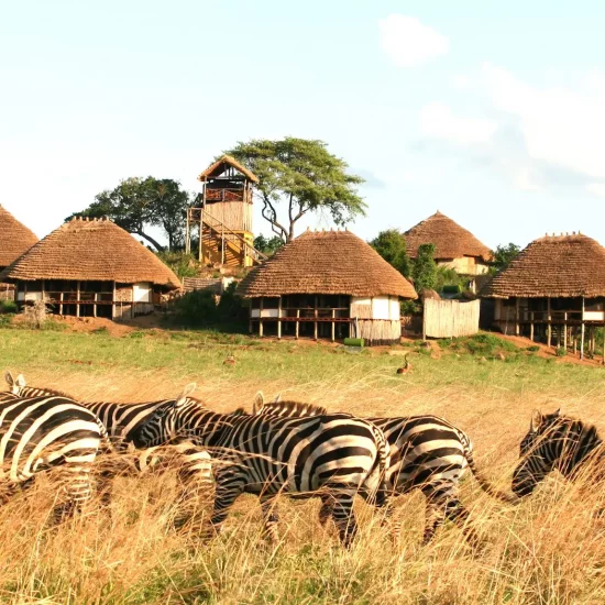 Inside MostExclusive Safari lodges Uganda