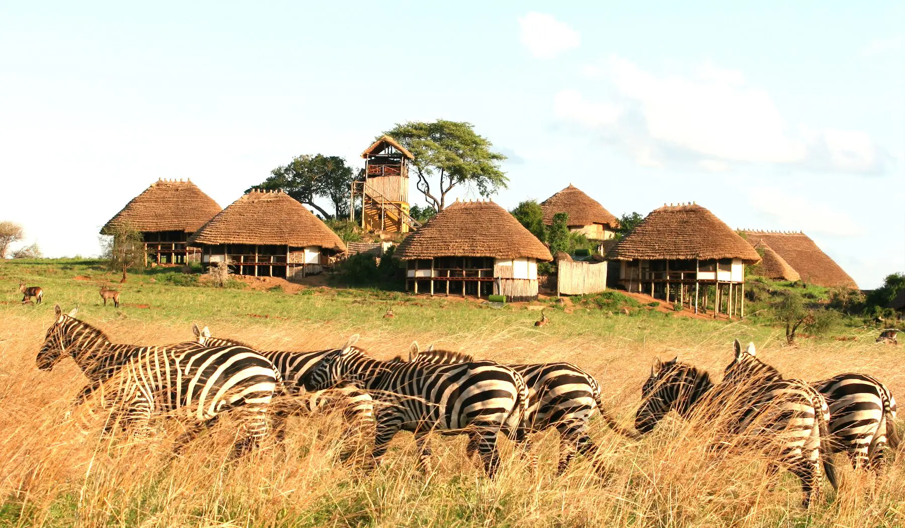 Inside MostExclusive Safari lodges Uganda