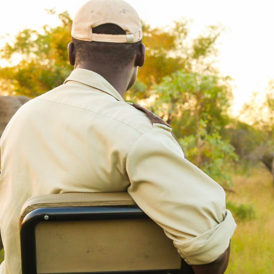 Are African Safari Tours Safe for Travelers?