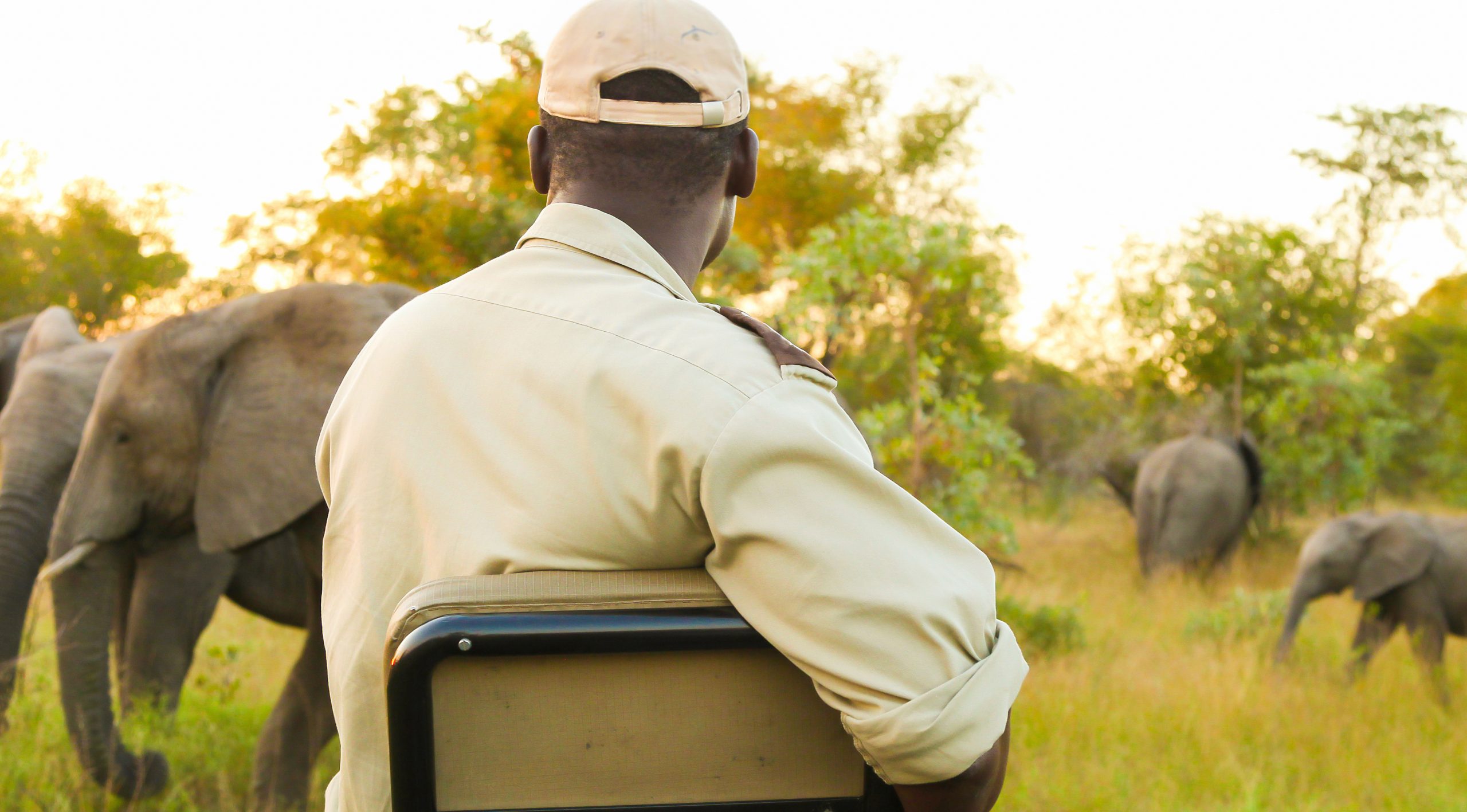 Are African Safari Tours Safe for Travelers?