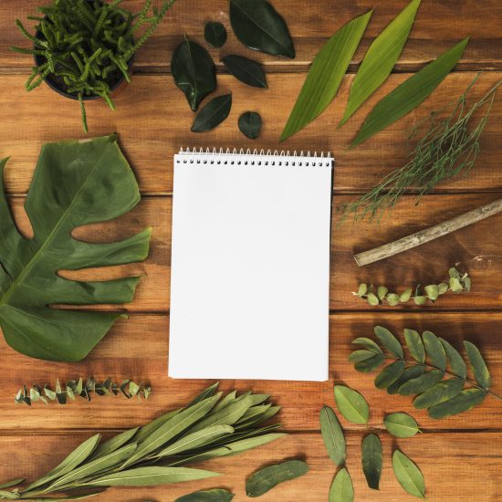 Learn how to plan African safari from start to finish. Get expert tips from Globettrotters and discover the magic of a Uganda luxury safari.