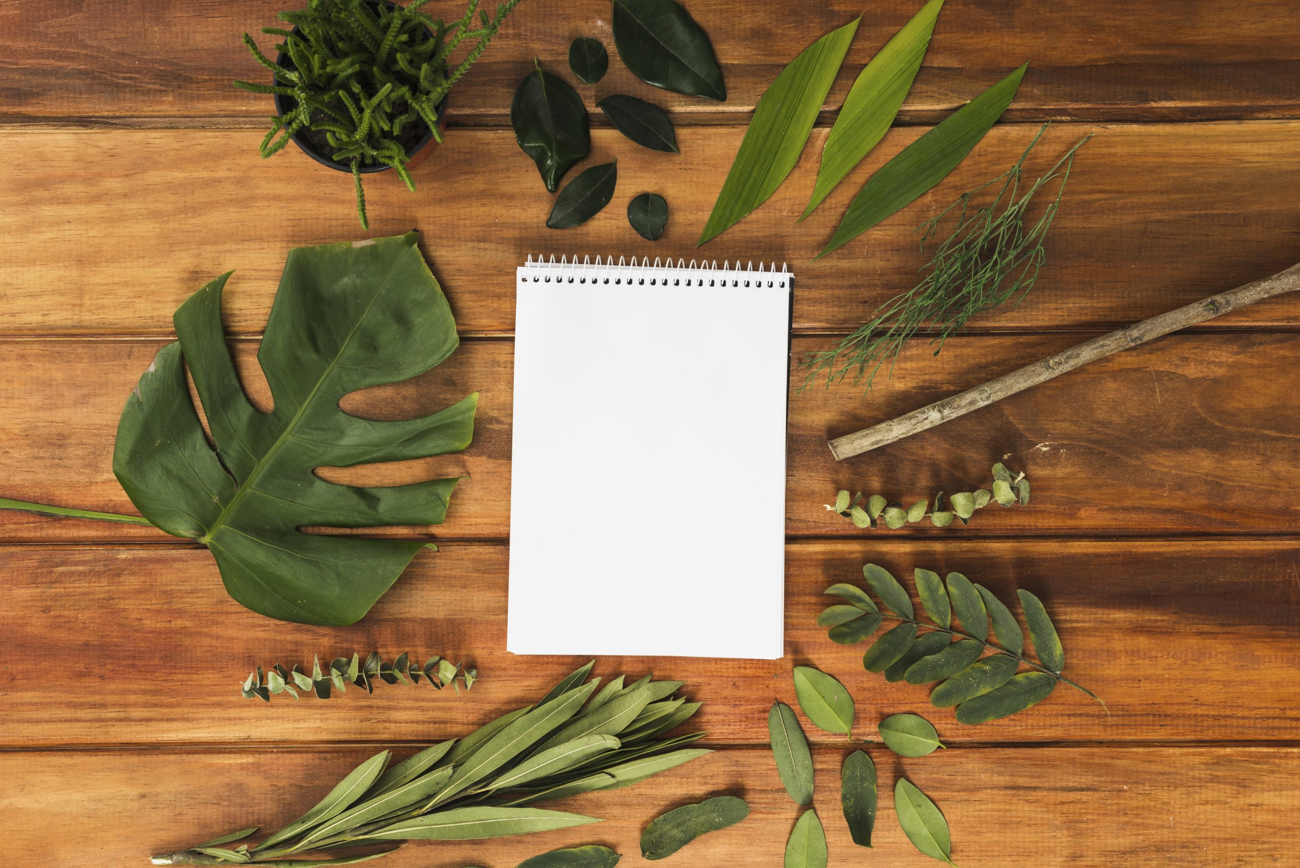 Learn how to plan African safari from start to finish. Get expert tips from Globettrotters and discover the magic of a Uganda luxury safari.